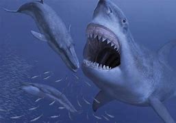 Ikan Hiu Megalodon Raksasa