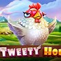 The Tweety House Slot Hari Ini Live Draw Miami